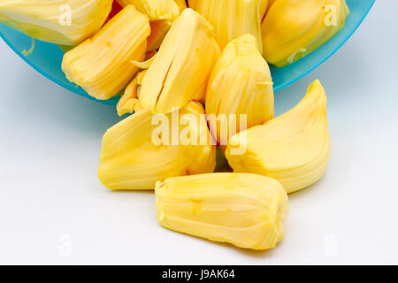 Frische reife Jackfruit isoliert auf weißem Hintergrund. Stockfoto