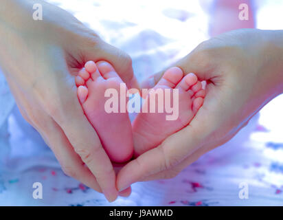 Baby Füße in Händen der Mutter. Winzigen neugeborenen Babys Füße auf weibliche Shaped Hände closeup Stockfoto
