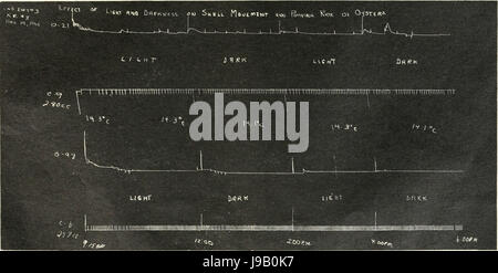 Die biologische Bulletin (20186852038) Stockfoto