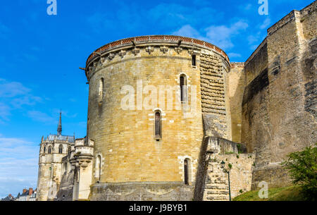 Chateau d ' Amboise, eines der Schlösser an der Loire - Frankreich Stockfoto