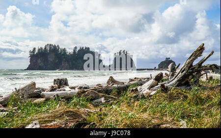 Erstaunliche Strand von La Push in die Quileute-Indianer-Reservat - Gabeln - WASHINGTON Stockfoto