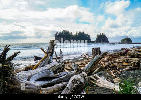 Die tolle Landschaft der Strand von La Push - Gabeln - WASHINGTON Stockfoto