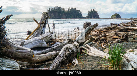 Erstaunliche Strand von La Push in die Quileute-Indianer-Reservat - Gabeln - WASHINGTON Stockfoto