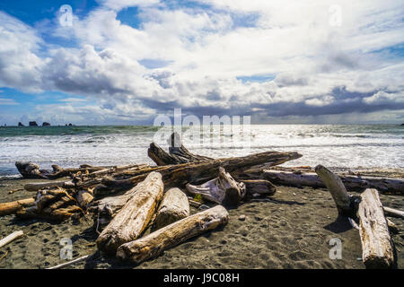 Die tolle Landschaft der Strand von La Push - Gabeln - WASHINGTON Stockfoto