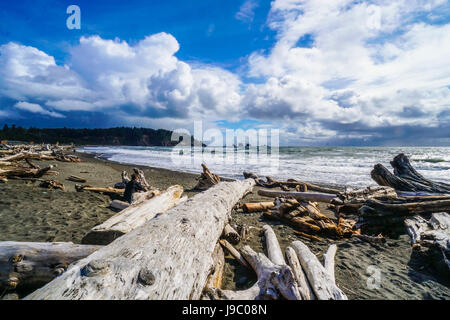 Erstaunliche Strand von La Push in die Quileute-Indianer-Reservat - Gabeln - WASHINGTON Stockfoto