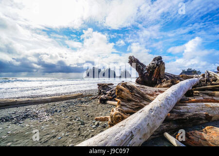 Erstaunliche Strand von La Push in die Quileute-Indianer-Reservat - Gabeln - WASHINGTON Stockfoto