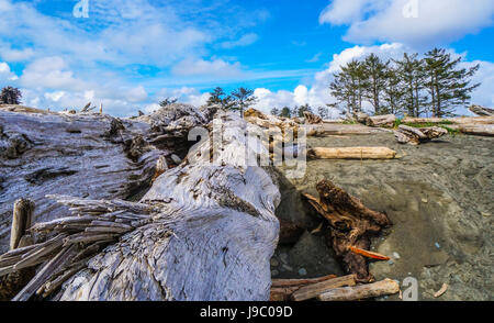 Erstaunliche Strand von La Push in die Quileute-Indianer-Reservat - Gabeln - WASHINGTON Stockfoto