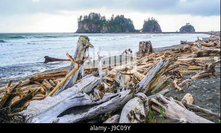 Erstaunliche Strand von La Push in die Quileute-Indianer-Reservat - Gabeln - WASHINGTON Stockfoto