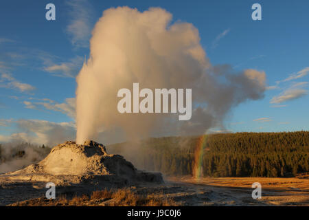 Castle Geyser Stockfoto