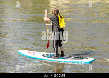 Ein Mann Paddle boarding auf der Themse in Richmond, Surrey, UK Stockfoto