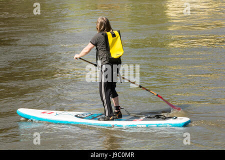 Ein Mann Paddle boarding auf der Themse in Richmond, Surrey, UK Stockfoto