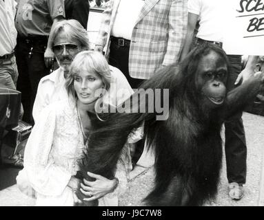 RTMcbride / MediaPunch BO und JOHN DEREK 22. Juli 1981 TARZAN der Affe Mann Presse CONFERANCE NEW YORK CITY Kredit alle Verwendungen Stockfoto