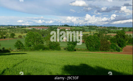 Ackerland im Frühjahr, Feld von Weizen, Windenergieanlagen (Oisseau,Mayenne, Pays de la Loire, Frankreich, Europa). Stockfoto