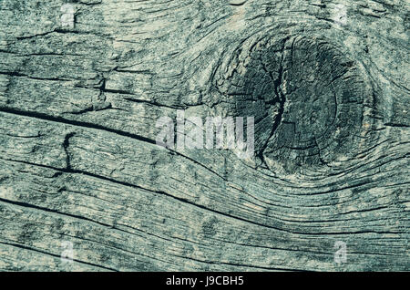 Scheibe einer Holz- Vorstand grüne Färbung, horizontale Hintergrund Stockfoto