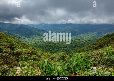 Nebelwald über Bosque Nuboso Monteverde, Costa Rica Stockfoto