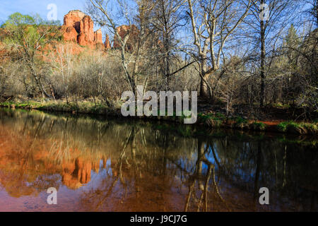 Cathedral Rock spiegelt sich in den ruhigen Gewässern des Oak Creek in der Nähe von Sedona, Arizona. Stockfoto