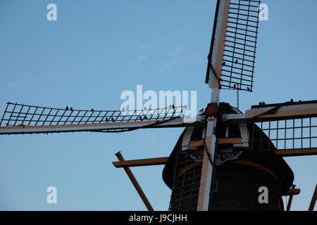 Global Wind Day 15 Juni Stockfoto