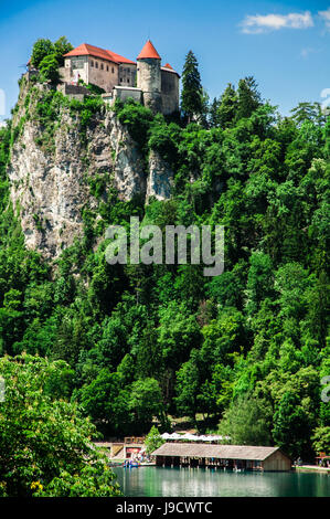 Burg von Bled, Bled See Stockfoto