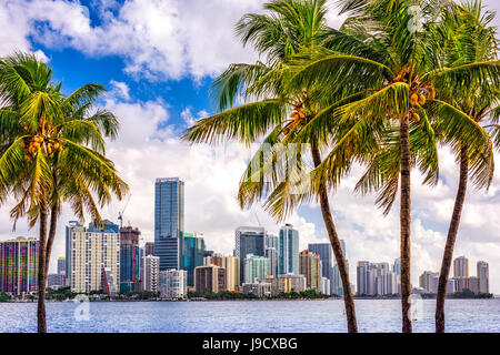 Tropischen downtown Skyline von Miami, Florida, USA. Stockfoto