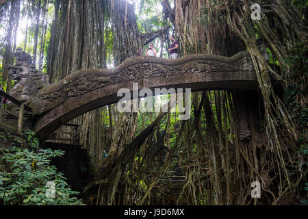 Sehr schön geschnitzte Brücke mit Verwilderung Bäume, Heilige Monkey Forest Sanctuary, Ubud, Bali, Indonesien, Südostasien, Asien Stockfoto