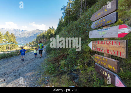 Wanderer zu Fuß auf den Alpinsteig, umgeben von Wäldern, Ponte Di Legno, Camonica-Tal, Provinz Brescia, Lombardei, Italien Stockfoto