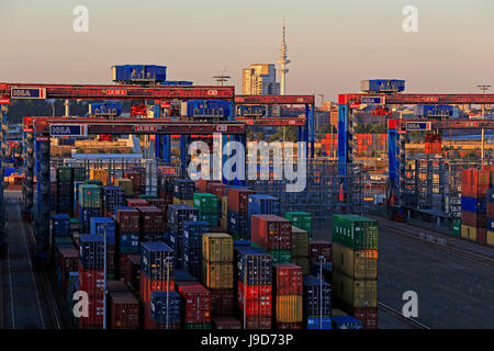 Container Terminal Abfertigung, Hafen Hamburg, Hamburg, Deutschland, Europa Stockfoto