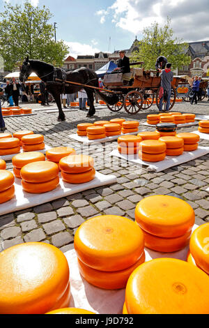 Käsemarkt in Gouda, Süd-Holland, Niederlande, Europa Stockfoto