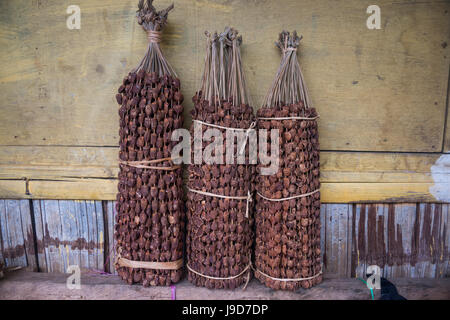 Betelnuss (Areca Catechu) zum Verkauf auf einem Markt in Maubisse, Osttimor, Südostasien, Asien Stockfoto