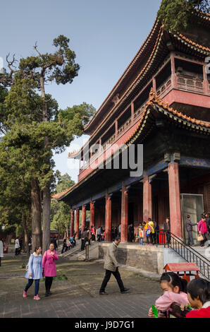 Konfuzius-Tempel, Qufu, UNESCO World Heritage Site, Shandong Provinz, China, Asien Stockfoto