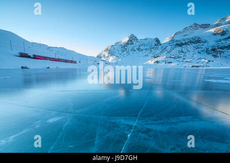 Der Bernina-Express-Zug fährt neben den gefrorenen Lago Bianco, Berninapass, Kanton Graubünden, Engadin, Schweiz, Europa Stockfoto