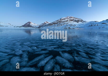 Die gefrorenen Lago Bianco umrahmt die blauen Lichter der Dämmerung, Berninapass, Kanton Graubünden, Engadin, Schweiz, Europa Stockfoto