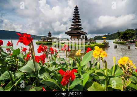 Blühenden Blumen vor dem Pura Ulun Danu Bratan Tempel, Bali, Indonesien, Südostasien, Asien Stockfoto