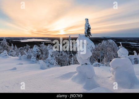 Die Sonne rahmt die verschneite Landschaft und Wälder im kalten arktischen Winter, Ruka, Kuusamo, Lappland, Finnland Österbotten Region Stockfoto