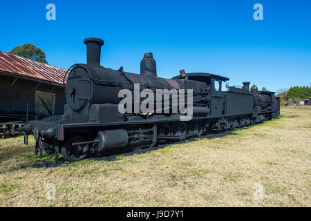 Alte Dampflokomotiven von der Bahnlinie Dorrigo Dorrigo National Park, UNESCO, New-South.Wales, Australien, Pazifik Stockfoto