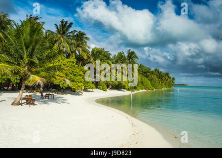 White Sand Beach und türkisfarbenes Wasser, Sun Island Resort, Nalaguraidhoo Insel, Ari Atoll, Malediven, Indischer Ozean, Asien Stockfoto