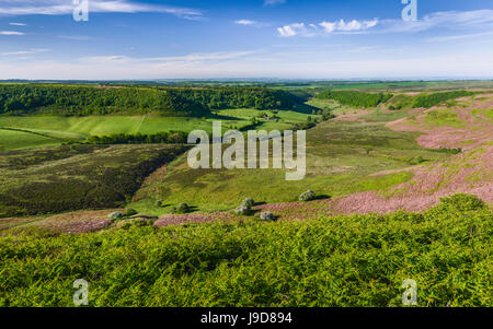 Die North York Moors mit Blick auf eine natürliche Depression, Ackerland, Moor und Vegetation an einem feinen Frühlingsmorgen in der Nähe von Goathland, Yorkshire, Großbritannien. Stockfoto