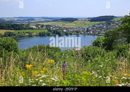 Blick über Schalkenmehren Maar in Richtung Schalkenmehren, Eifel, Rheinland-Pfalz, Deutschland, Europa Stockfoto