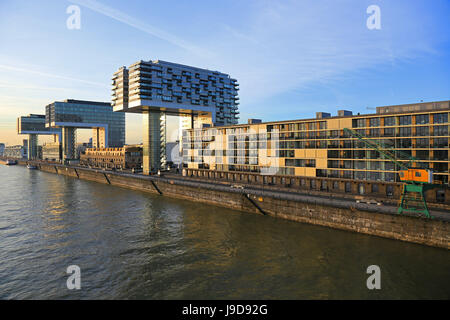 Kran-Häuser am Hafen Rheinau, Köln, Nordrhein-Westfalen, Deutschland, Europa Stockfoto