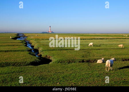 Leuchtturm im Nationalpark Wattenmeer, Westerhever, Schleswig-Holstein, Deutschland, Europa Stockfoto