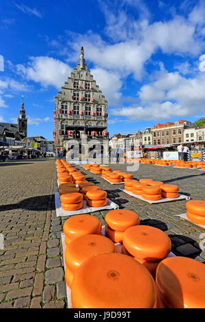 Käsemarkt in Gouda, Süd-Holland, Niederlande, Europa Stockfoto