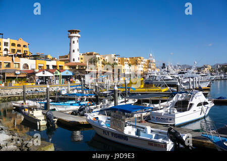 Cabo San Lucas Marina, Baja California, Mexiko, Nordamerika Stockfoto