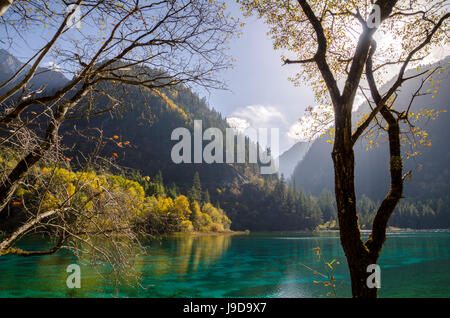 Fünf Blume Lake, Jiuzhaigou (neun Dorf Tal), UNESCO World Heritage Site, Provinz Sichuan, China, Asien Stockfoto