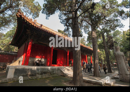 Konfuzius Wald mit Friedhof, Qufu, UNESCO World Heritage Site, Shandong Provinz, China, Asien Stockfoto