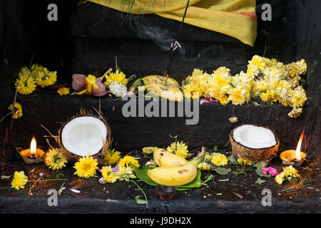 Angebote von Früchten und Blumen schmücken einen Schrein im Arunachaleshwara Tempel in Tiruvannamalai, Tamil Nadu, Indien Stockfoto