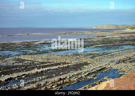 Osten Quantoxhead Strand bei Ebbe, Kilve, Somerset Westküste Stockfoto