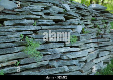 Mehrere dünne Schiefer Felsen zu einer Felswand übereinander gestapelt. Stockfoto