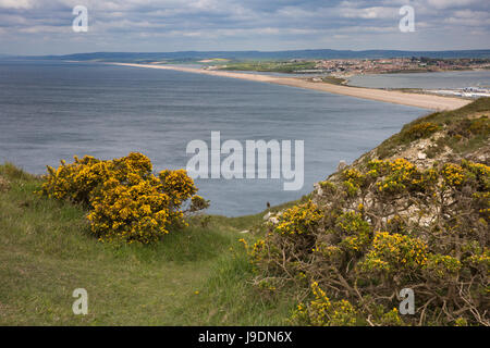 UK England, Dorset, Portland, Clay Ope, Tout Steinbruch Sculpture Park, Blick nach unten auf Chesil Beach Stockfoto