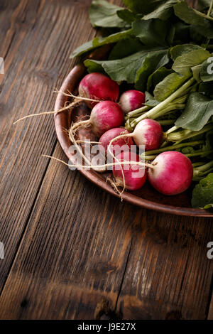 Kleinen Garten Radieschen auf rustikalen Stil Hintergrund Stockfoto