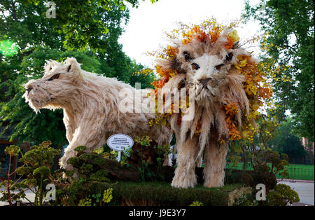 Raubkatze floral in Kings Road, Chelsea, London, Vereinigtes Königreich während der Chelsea Flower Show anzeigen Stockfoto