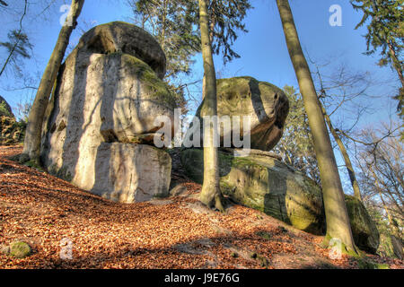 Bizarre Felsen in den Wäldern im Böhmischen Paradies Stockfoto